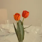 Hotel Ristorante Rinelli 3*