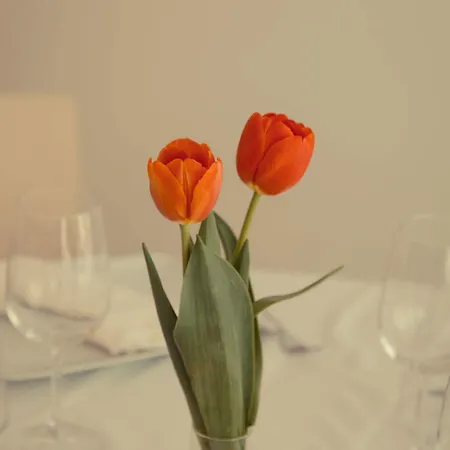 Hotel Ristorante Rinelli 3*